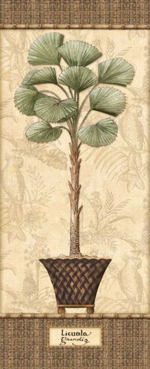 Picture of BOTANICAL PALM I