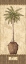 Picture of BOTANICAL PALM III