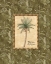 Picture of VINTAGE PALM II
