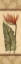 Picture of PARADISIO BOUQUET I