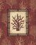 Picture of RED CORAL II