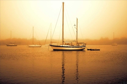 Picture of EARLY MORNING FISHING I
