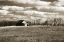 Picture of CLOUDY SKIES II