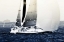 Picture of READY FOR THE RACE I