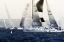 Picture of READY FOR THE RACE II