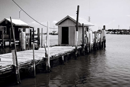 Picture of TANGIER ISLAND IV