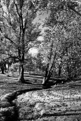 Picture of A SMALL CREEK