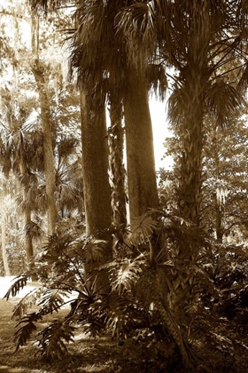 Picture of TROPICAL GARDEN II