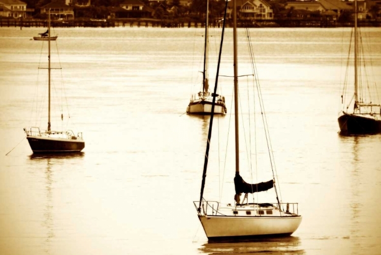 Picture of ST. AUGUSTINE HARBOR I