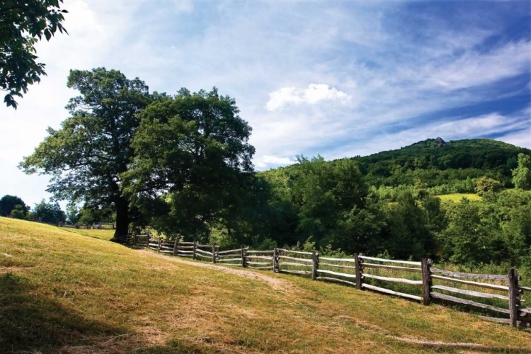 Picture of HUMPBACK MOUNTAIN