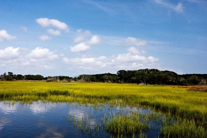 Picture of MARSHLAND II