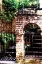 Picture of CHARLESTON HIDEAWAY II