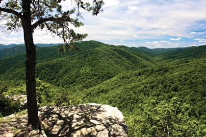 Picture of BLUE RIDGE