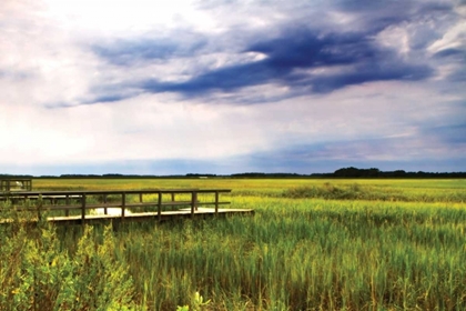 Picture of MARSHLAND STORM I