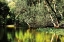Picture of SILVER RIVER I