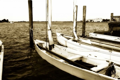 Picture of SKIFFS III