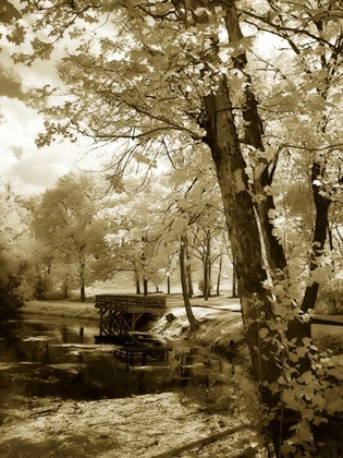 Picture of MINT SPRINGS LAKE I