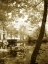 Picture of MINT SPRINGS LAKE II