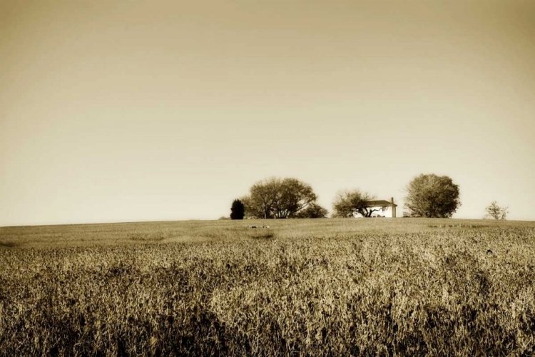 Picture of GOOCHLAND FARM I