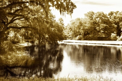 Picture of MOSSY LAKE I