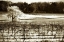 Picture of VINEYARD II