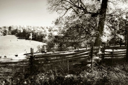 Picture of AUTUMN PASTURES II