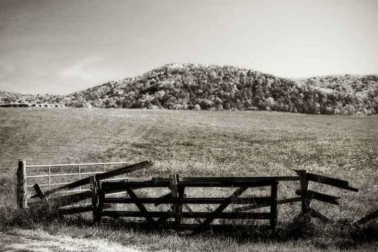 Picture of AUTUMN PASTURES IV