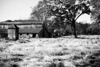 Picture of FALLOW FIELDS II