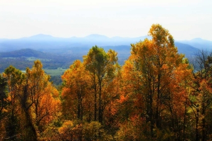 Picture of SHENANDOAH VALLEY I