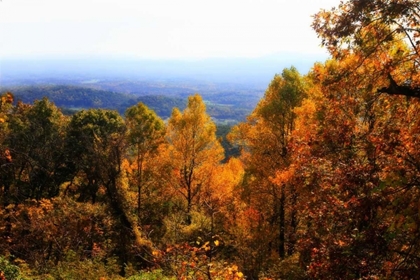 Picture of SHENANDOAH VALLEY II