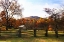 Picture of HOMESTEAD I