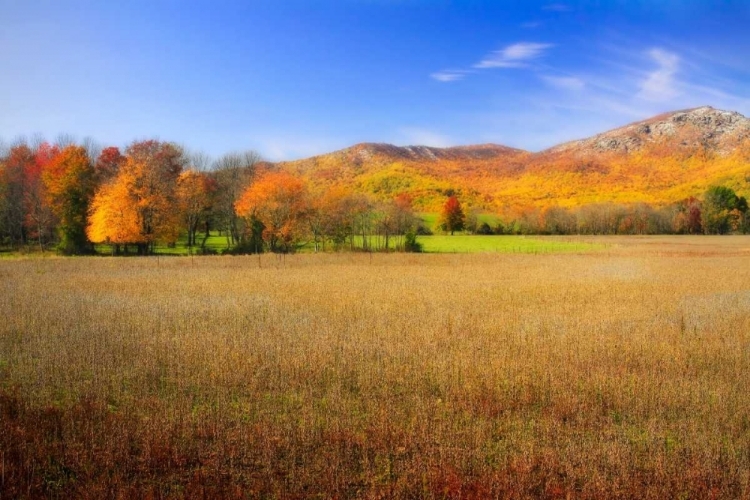 Picture of OLD RAG MOUNTAIN I