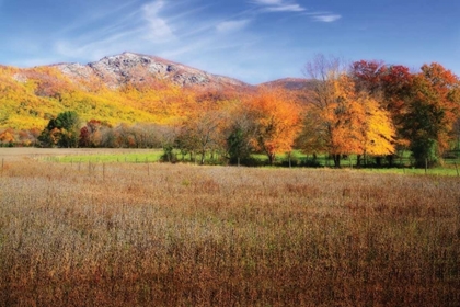 Picture of OLD RAG MOUNTAIN II