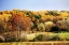 Picture of SPERRYVILLE FIELDS I