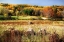 Picture of SPERRYVILLE FIELDS II