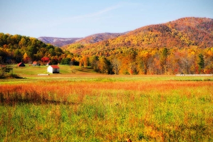 Picture of AUTUMN FIELDS I