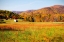 Picture of AUTUMN FIELDS I