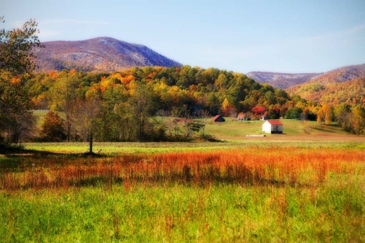 Picture of AUTUMN FIELDS II