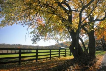 Picture of HILLSIDE FARM I