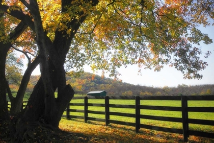 Picture of HILLSIDE FARM II