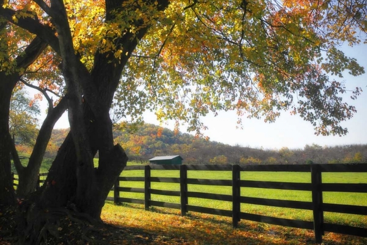 Picture of HILLSIDE FARM II