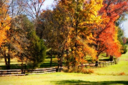 Picture of KESWICK PASTURE I