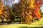 Picture of KESWICK PASTURE I