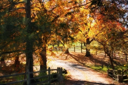 Picture of AUTUMN ON KENT FARM I