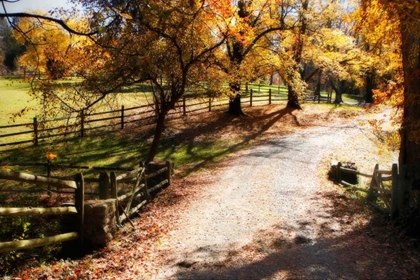 Picture of AUTUMN ON KENT FARM II