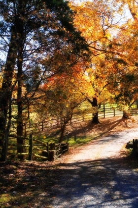 Picture of AUTUMN ON KENT FARM III