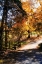 Picture of AUTUMN ON KENT FARM III