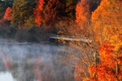 Picture of COLD AUTUMN MORNING II