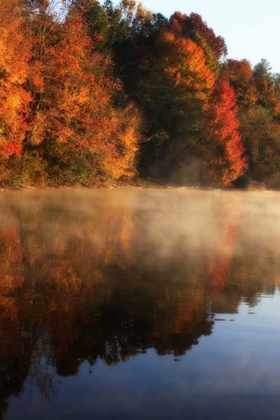 Picture of AUTUMN MIST I