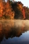 Picture of AUTUMN MIST I